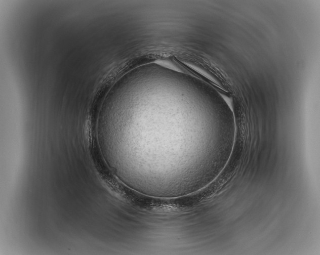 X0000116390594200912091436
