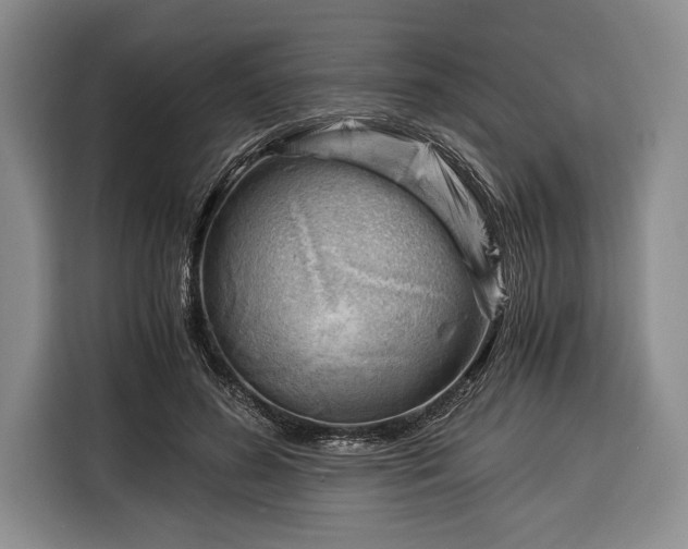 X0000116390596200912091436