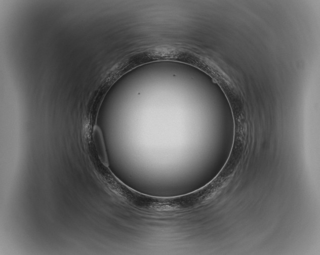 X0000116390597200912091436