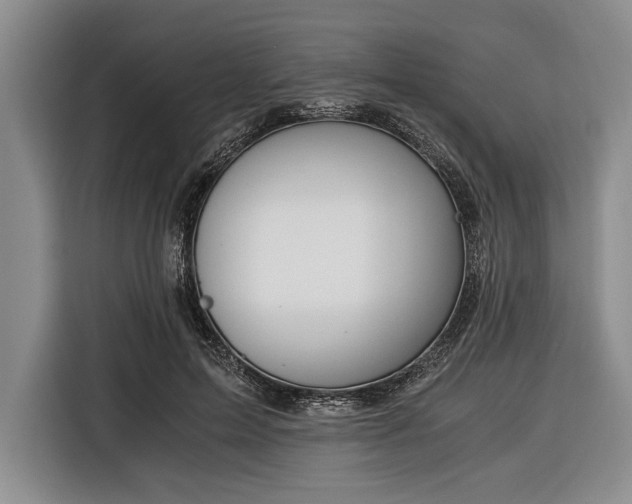 X0000116390599200912091436