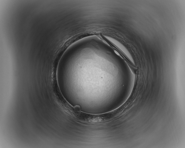 X0000116390600200912091436
