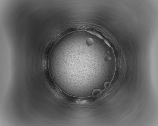 X0000116390602200912091436