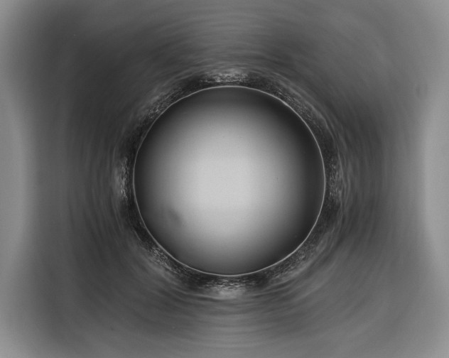 X0000116390604200912091436