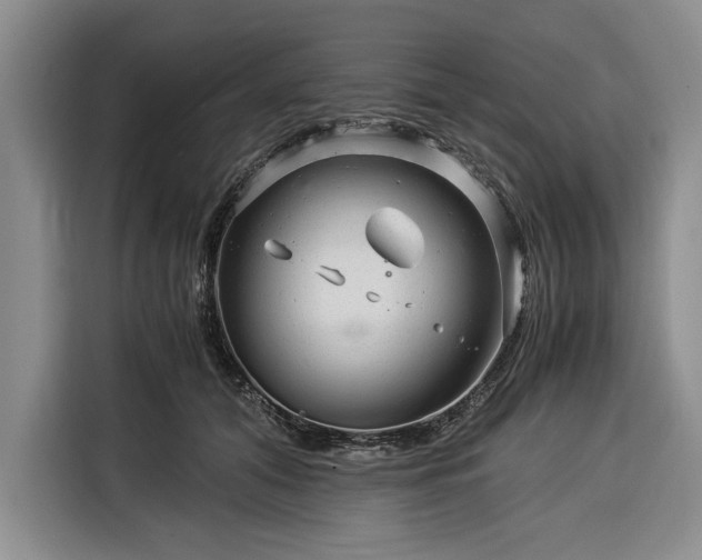 X0000116390608200912091436