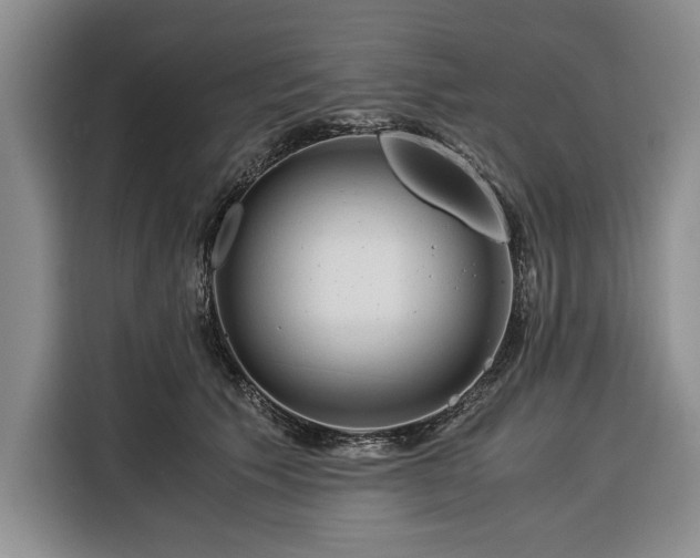 X0000116390609200912091436