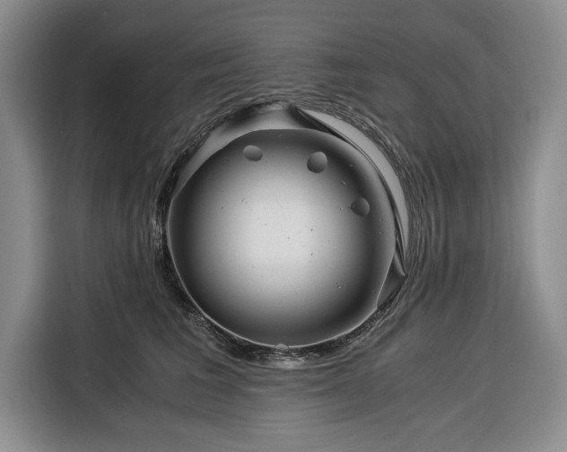 X0000116390613200912091436