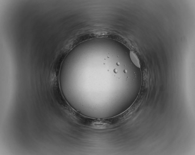 X0000116390614200912091436
