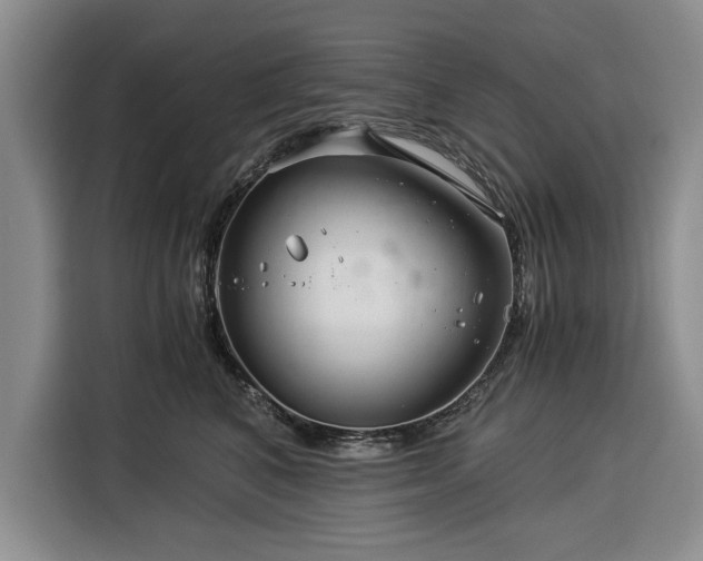 X0000116390616200912091436