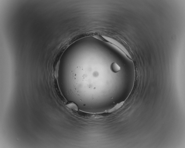 X0000116390617200912091436