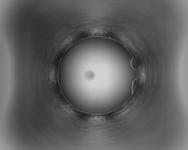 X0000116390619200912091436