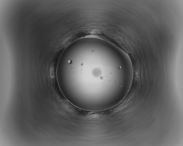 X0000116390620200912091436