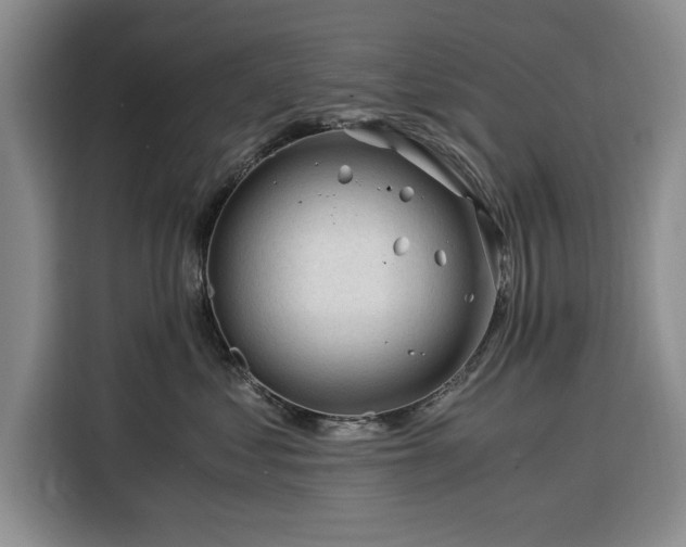 X0000116390621200912091436