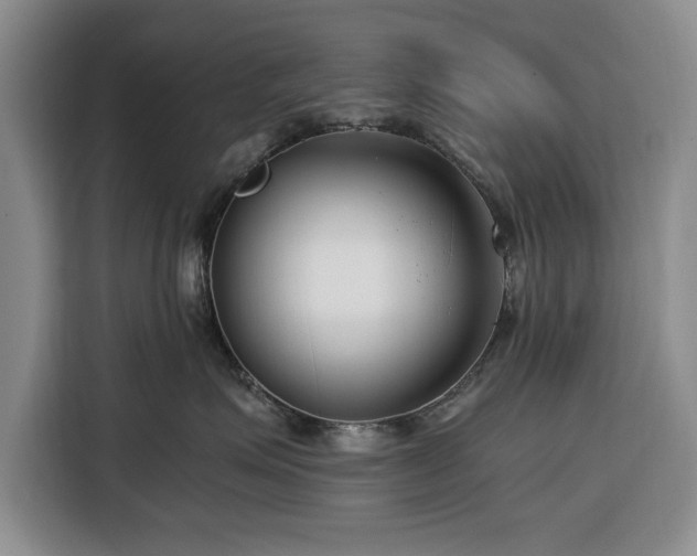 X0000116390623200912091436