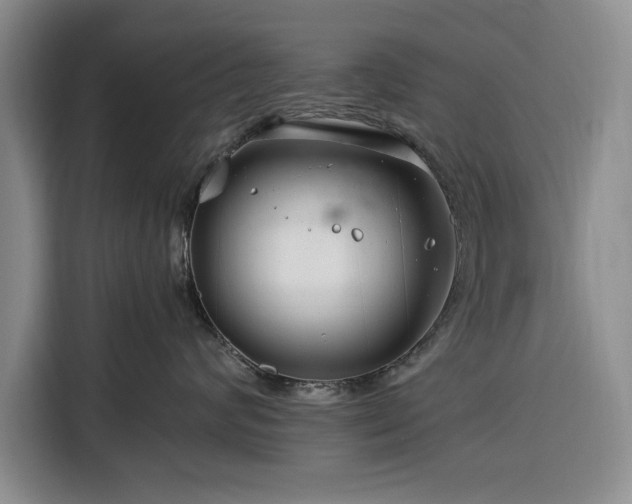 X0000116390624200912091436