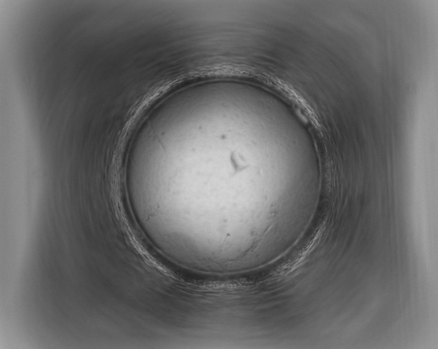 X0000116390625200912091435