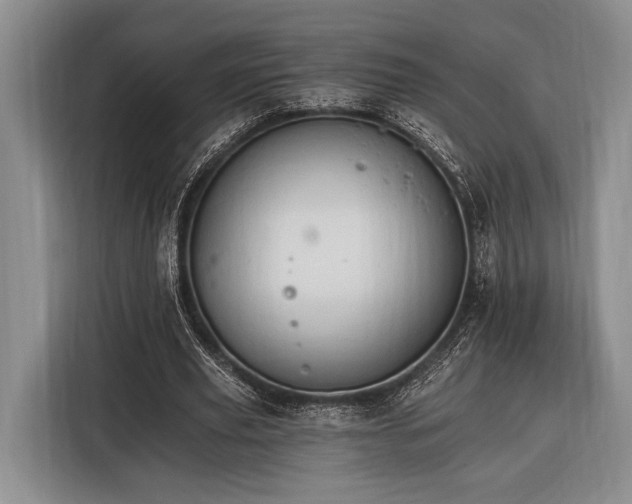 X0000116390629200912091435