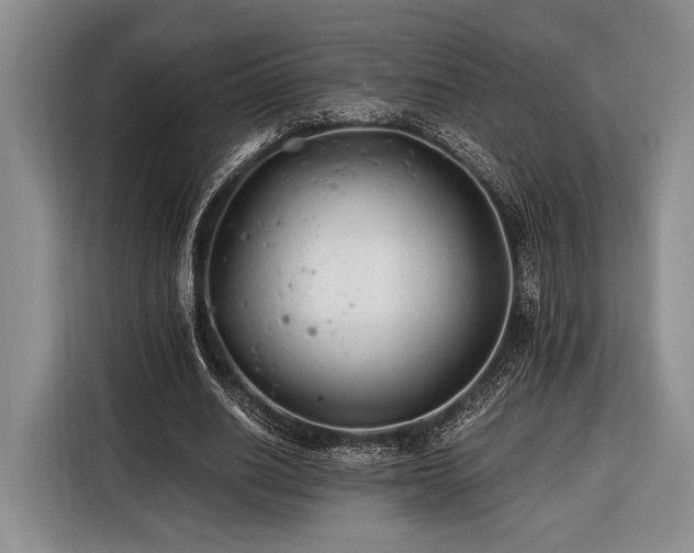 X0000116390630200912091435