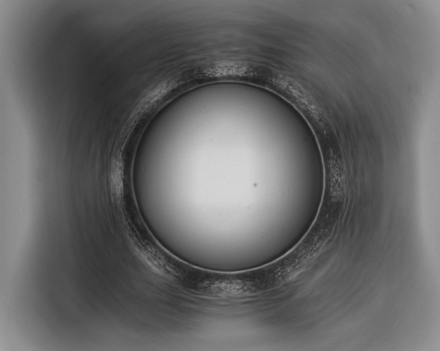 X0000116390631200912091435