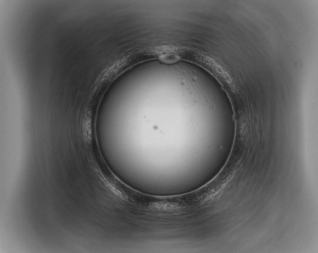 X0000116390633200912091435