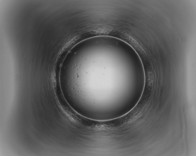 X0000116390634200912091435