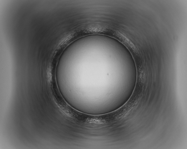 X0000116390635200912091435