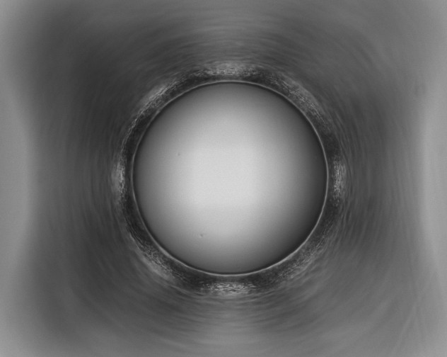X0000116390636200912091435