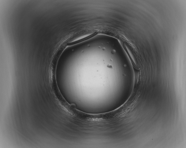 X0000116390637200912091435