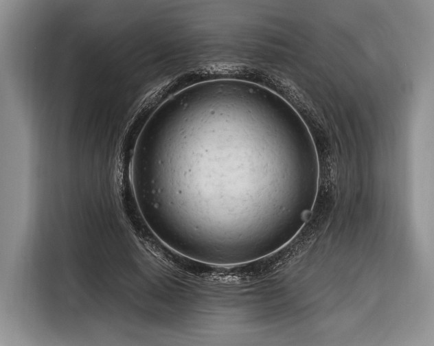 X0000116390640200912091435