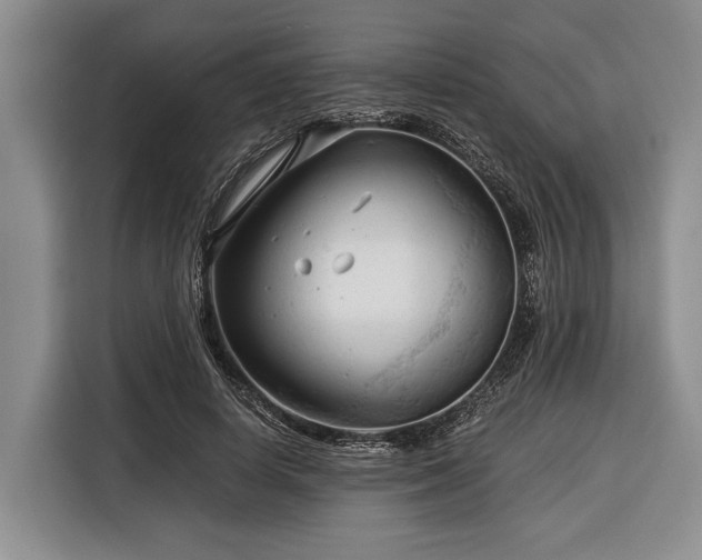 X0000116390642200912091435