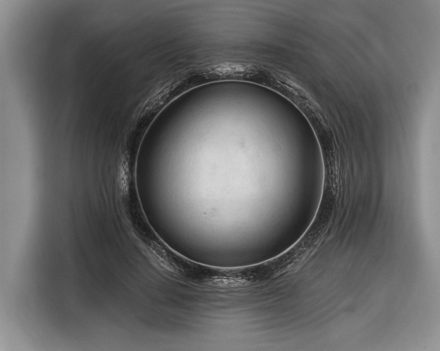X0000116390644200912091435