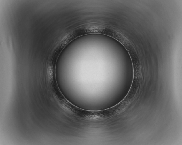 X0000116390646200912091435