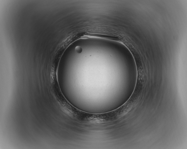 X0000116390648200912091435