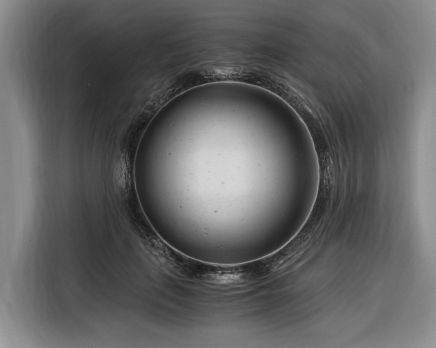 X0000116390651200912091435