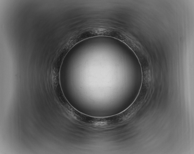 X0000116390653200912091435