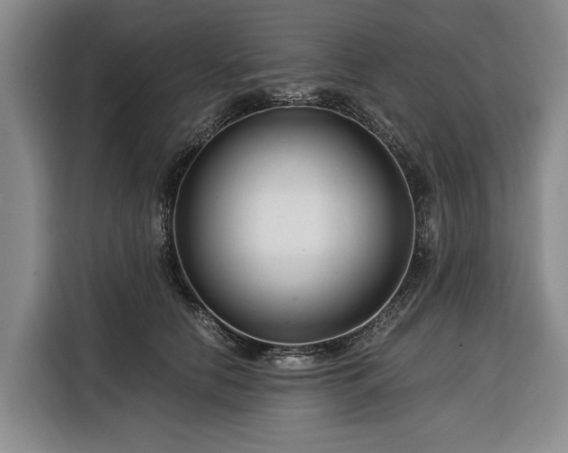 X0000116390658200912091435
