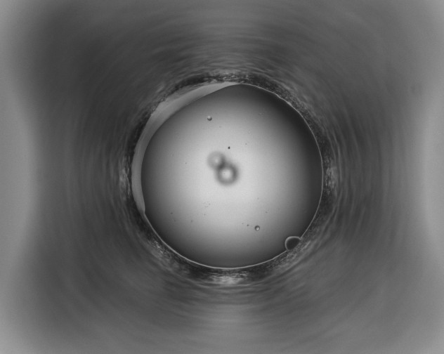 X0000116390662200912091435
