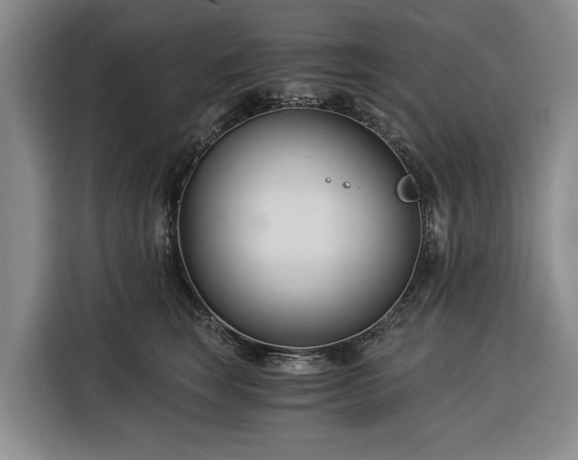 X0000116390663200912091435