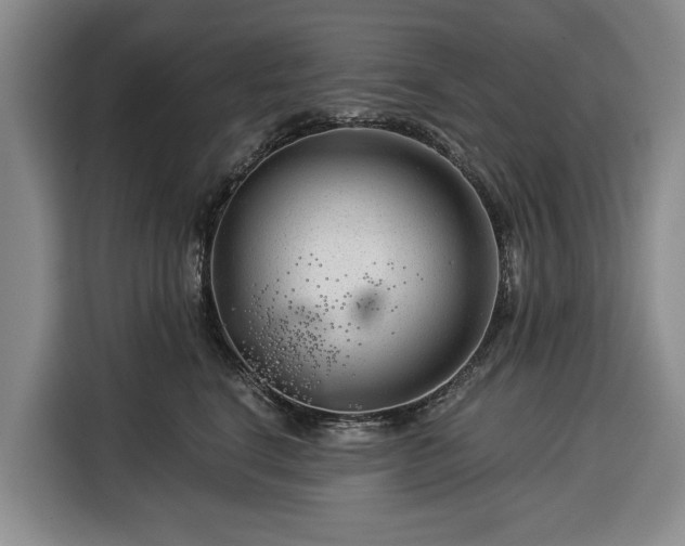 X0000116390664200912091436