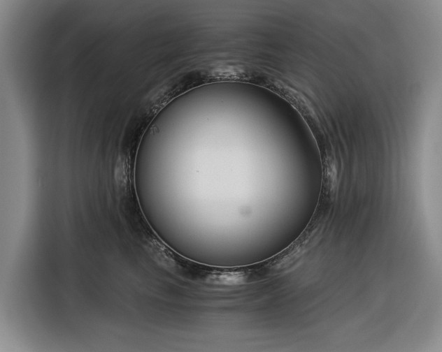 X0000116390665200912091436