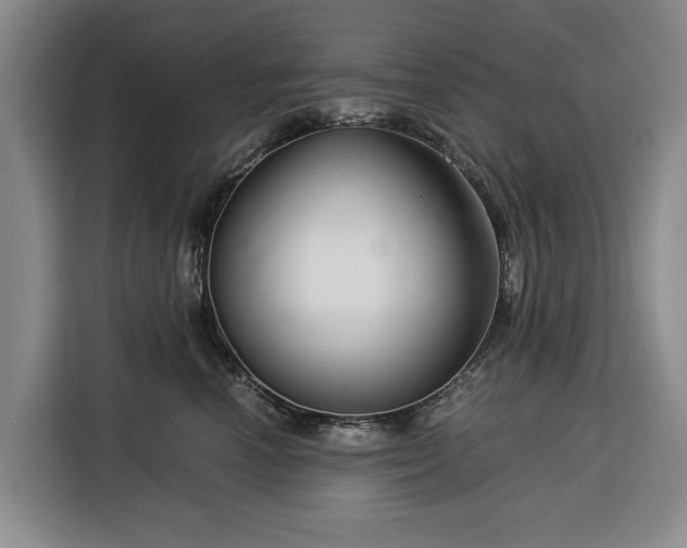 X0000116390666200912091436
