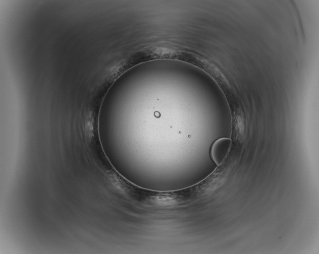 X0000116390668200912091436