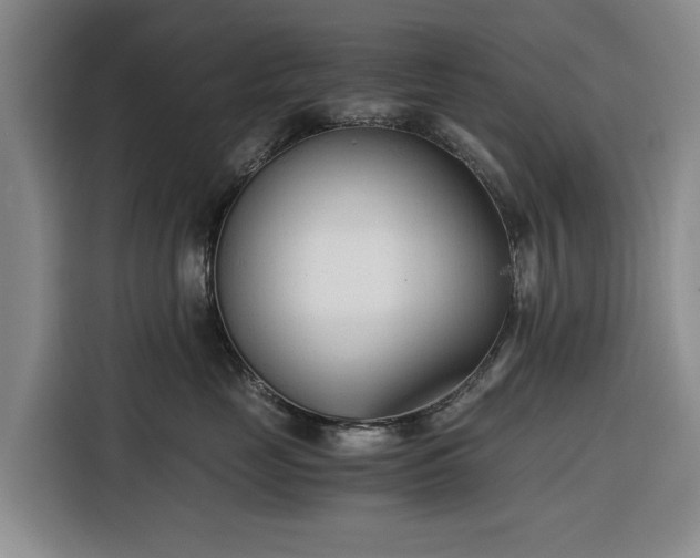 X0000116390669200912091436