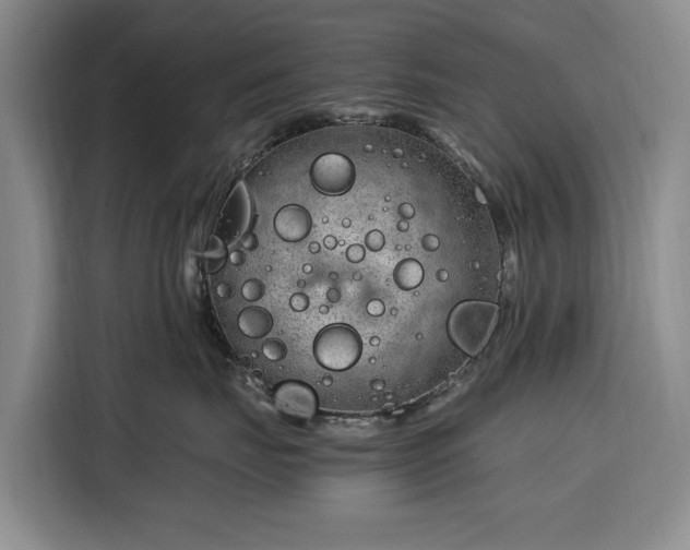 X0000116390671200912091436
