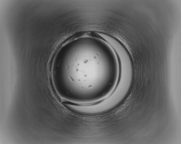 X0000116390673200912091435