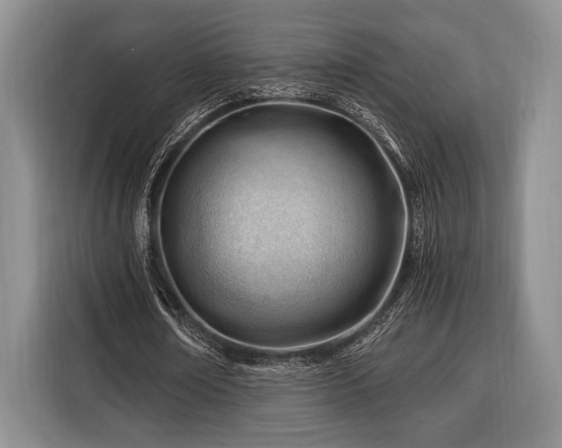 X0000116390674200912091435