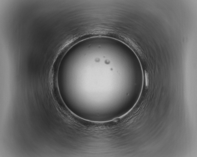 X0000116390675200912091435