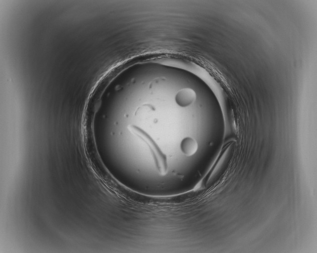 X0000116390676200912091435