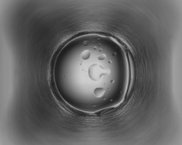 X0000116390677200912091435