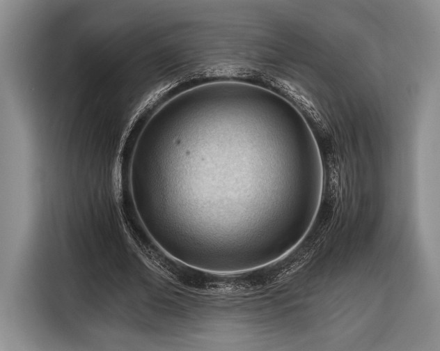 X0000116390678200912091435
