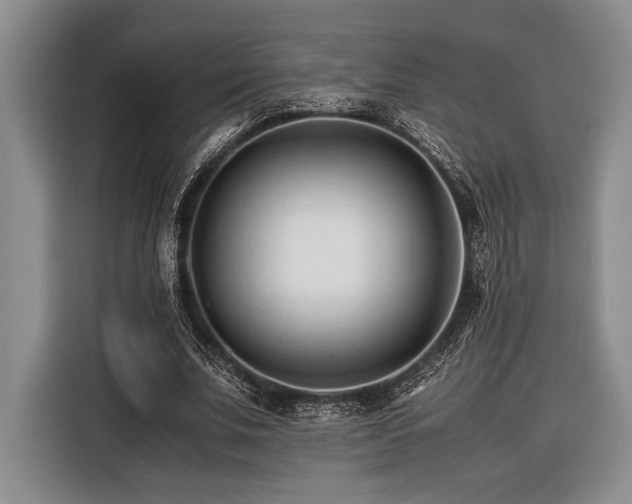 X0000116390679200912091435